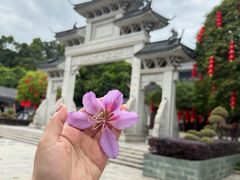 -广东罗浮山风景名胜区