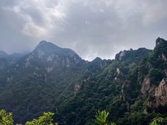 -王顺山国家森林公园