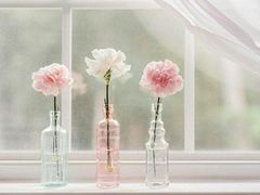 -高记福桂桂花糖炒栗(鼓楼店)