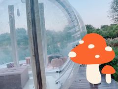 -Supine Bistro溯泮餐厅