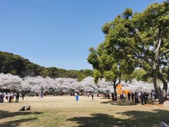 -苏州上方山国家森林公园