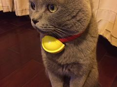 -北京赛佳动物医院