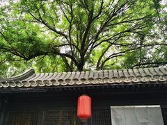 -悦真雅院·四合院·清真私房菜(雍和宫店)