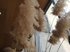 -山下C5cafe(惠通时代广场店)