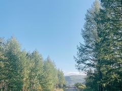 -莫尔道嘎国家森林公园