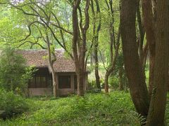 -杭州植物园