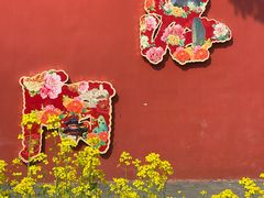 -洛阳市隋唐城遗址植物园