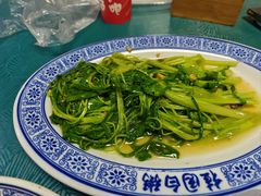 通心菜-桂园白粥·潮汕老味道