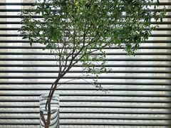 -Love Story爱情故事·养生SPA会所(新侨店)