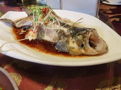 -见山书院