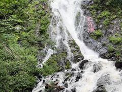 -凤凰山国家森林公园