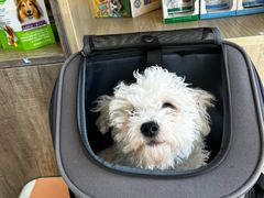 -萌兽医馆·绝育·24小时内科·宠物医院(德胜店)