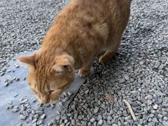 -长洲岛都市农业公园