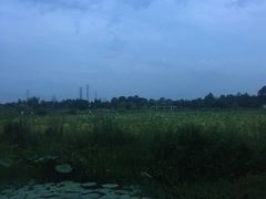 景点-三圣花乡旅游区