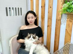 -青奢宠物·青奢猫舍