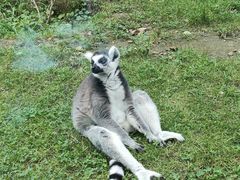 -哈尔滨北方森林动物园