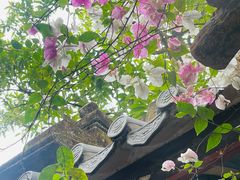 -深圳国际园林花卉博览园