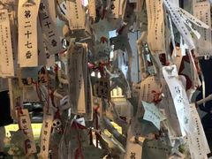 -长藤鬼校(龙翔店)