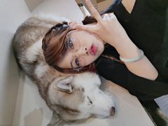 -Husky Go! 哈士奇体验馆·宠物咖啡厅狗咖
