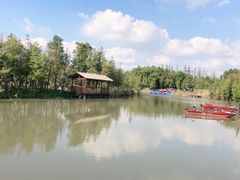 -上海长兴岛郊野公园