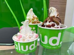 -Salud撒露欧洲冻酸奶(蓝色港湾店)