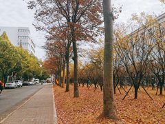 -上海财经大学(国定路校区)
