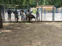 -长白岛森林公园