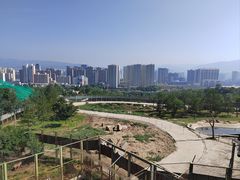 -青藏高原野生动物园