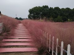 -嘉北郊野公园