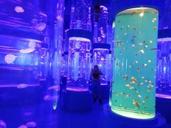 -石林冰雪海洋世界