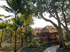 -中国科学院西双版纳热带植物园