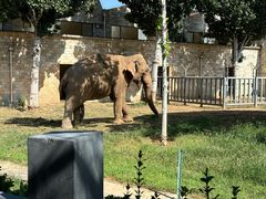 -石家庄市动物园