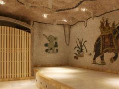 -金紫荆松骨休闲水会