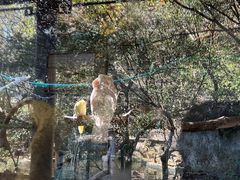 -杭州动物园