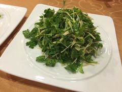 -龙井壹号·茶缘山景宴(龙井村店)