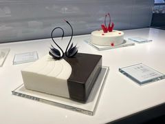 -BLACKSWAN黑天鹅(环球店)