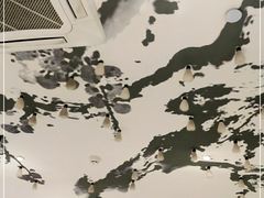 -煲宫猪肚鸡(晶品店)