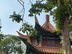-戏马台景区