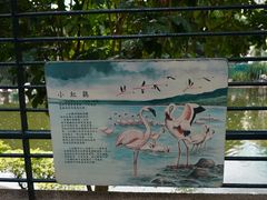 -九龙公园