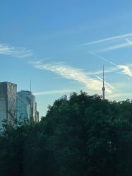 -上海首尔丽格医疗美容医院