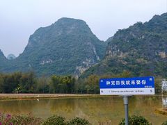 -明仕田园