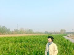 -永定河休闲森林公园