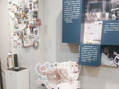 -伟伟宠物医院·CT影像中心·瑞派犬猫综合性门诊(汉口总院)