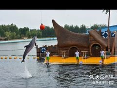 -秦皇岛乐岛海洋王国