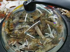 -海岸风情蒸汽海鲜自助餐厅(家宴金手勺店)