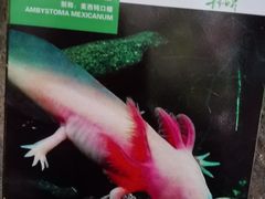 -青青世界