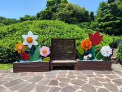 -济州森林小火车生态公园