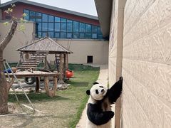 -石家庄市动物园