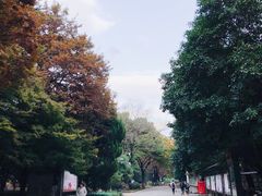 -大叔家福鼎小吃(十全街店)