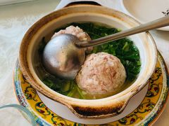 -丁老爷子苏香圆